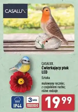 ALDI Ptak ćwierkający led Casalux oferta