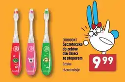 ALDI Szczoteczka do zębów ze stoperem Eurodont oferta