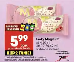 Delikatesy Centrum Lody Magnum oferta