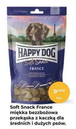 Zoo Karina Soft Snack France miękka bezzbożowa przekąska z kaczką dla średnich i dużych psów oferta