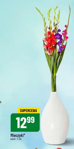 Polomarket Mieczyki 5 szt. oferta