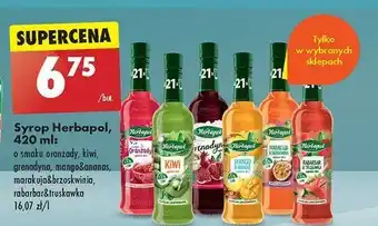 Biedronka Syrop mango z ananasem Herbapol oferta