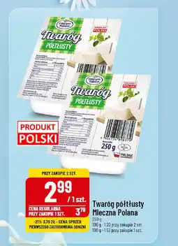 Polomarket Twaróg półtłusty Mleczna Polana 250 g oferta