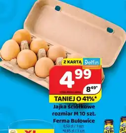 Delfin Ferma Bulowice Jajka ściółkowe rozmiar M 10 szt. oferta