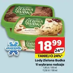 Delfin Lody Zielona Budka 1l oferta