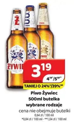 Delfin Piwo Żywiec, 500 ml oferta
