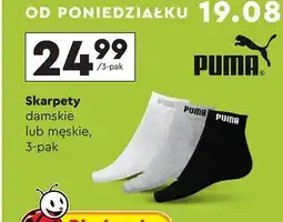 Biedronka Skarpety męskie Puma oferta