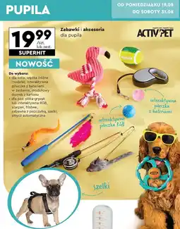 Biedronka Domek z kartonu modułowy Activ Pet oferta