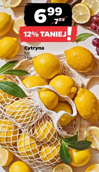 Netto Cytryny oferta