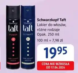 dm drogerie markt Schwarzkopf Taft Lakier do włosów, 250 ml oferta