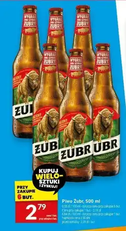 Twój Market Piwo Żubr, 500 ml oferta