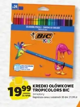 Stokrotka Kredki ołówkowe Bic oferta