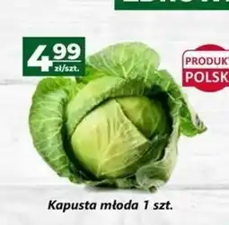 Społem Kapusta młoda oferta