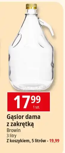 E.Leclerc Gąsior dama 3 l Browin oferta