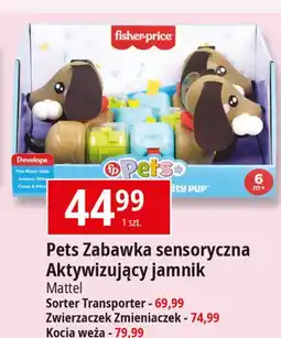 E.Leclerc Zabawka sensoryczna aktywizujący jamnik Fisher-Price oferta