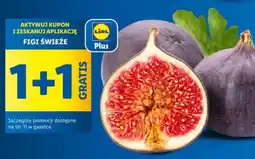 Lidl FIGI ŚWIEŻE oferta