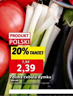 Lidl Polska cebula dymka oferta