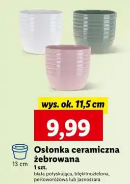 Lidl Osłonka ceramiczna żebrowana 13 cm oferta
