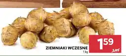 Stokrotka ZIEMNIAKI WCZESNE 1 kg oferta
