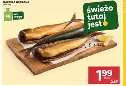 Stokrotka MAKRELA WĘDZONA 100 g oferta