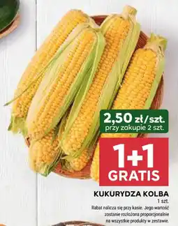 Stokrotka KUKURYDZA KOLBA oferta