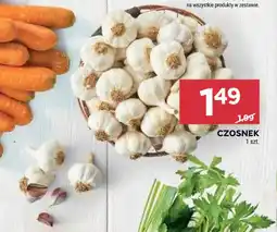 Stokrotka CZOSNEK oferta