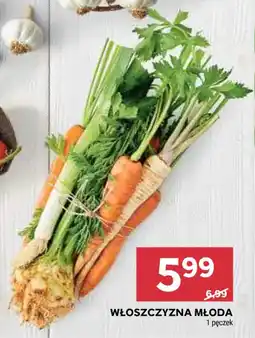 Stokrotka WŁOSZCZYZNA MŁODA oferta