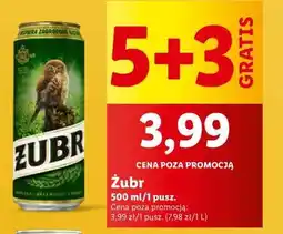 Lidl Piwo Żubr oferta