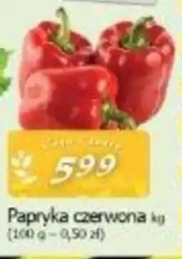 Papryka czerwona, 1 kg