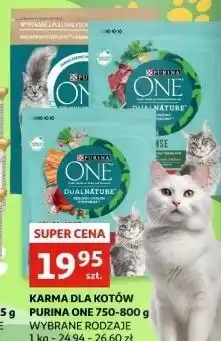 Auchan Karma dla kota adult wołowina i pełne ziarna Purina One oferta