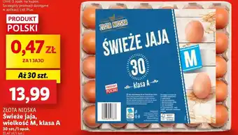 Lidl Jaja świeże M 30 szt oferta