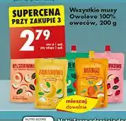 Biedronka Mus truskawkowo Owolovo oferta
