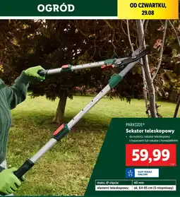 Lidl Sekator teleskopowy Parkside oferta