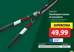 Lidl Nożyce teleskopowe do żywopłotu Parkside oferta