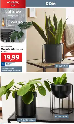 Lidl Donicz dekoracyjna Livarno Home oferta