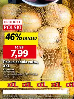 Lidl Cebula żółta oferta