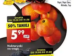 Biedronka Nektarynki oferta