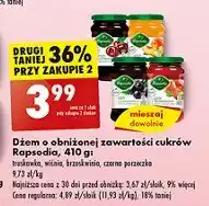 Biedronka Dżem czarna porzeczka Rapsodia oferta