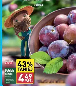 ALDI Śliwki Polski oferta