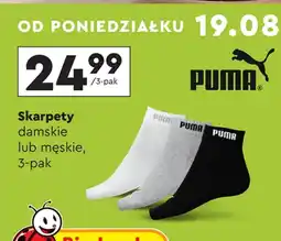 Biedronka Skarpety męskie Puma oferta