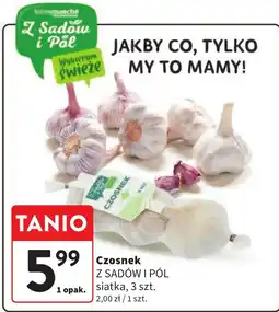 Intermarche Czosnek Z SADÓW I PÓL, 3 szt. oferta