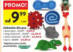 Intermarche Zabawka dla psa oferta