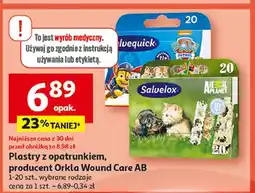 Auchan Plastry psi patrol Salvequick oferta