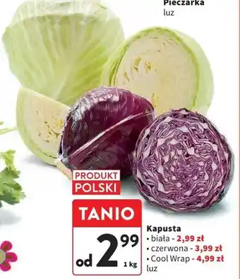Intermarche Kapusta czerwona oferta