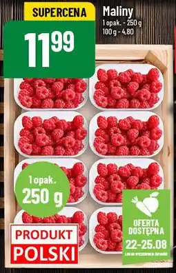 Polomarket Maliny oferta