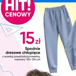 Pepco Spodnie chłopięce 104-134 oferta
