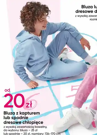 Pepco Spodnie dresowe chłopięce oferta