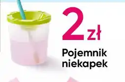 Pepco Pojemnik niekapek oferta