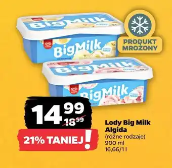 Netto Lody smietankowe Algida big milk oferta
