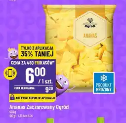 Polomarket Ananas Zaczarowany ogród oferta